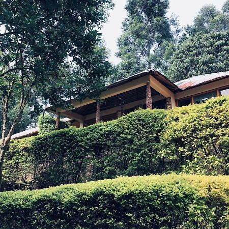 Bwindi Forest Lodge Buhoma 외부 사진