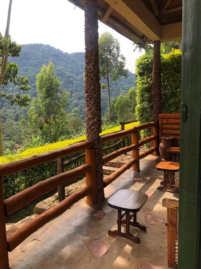 Bwindi Forest Lodge Buhoma 외부 사진