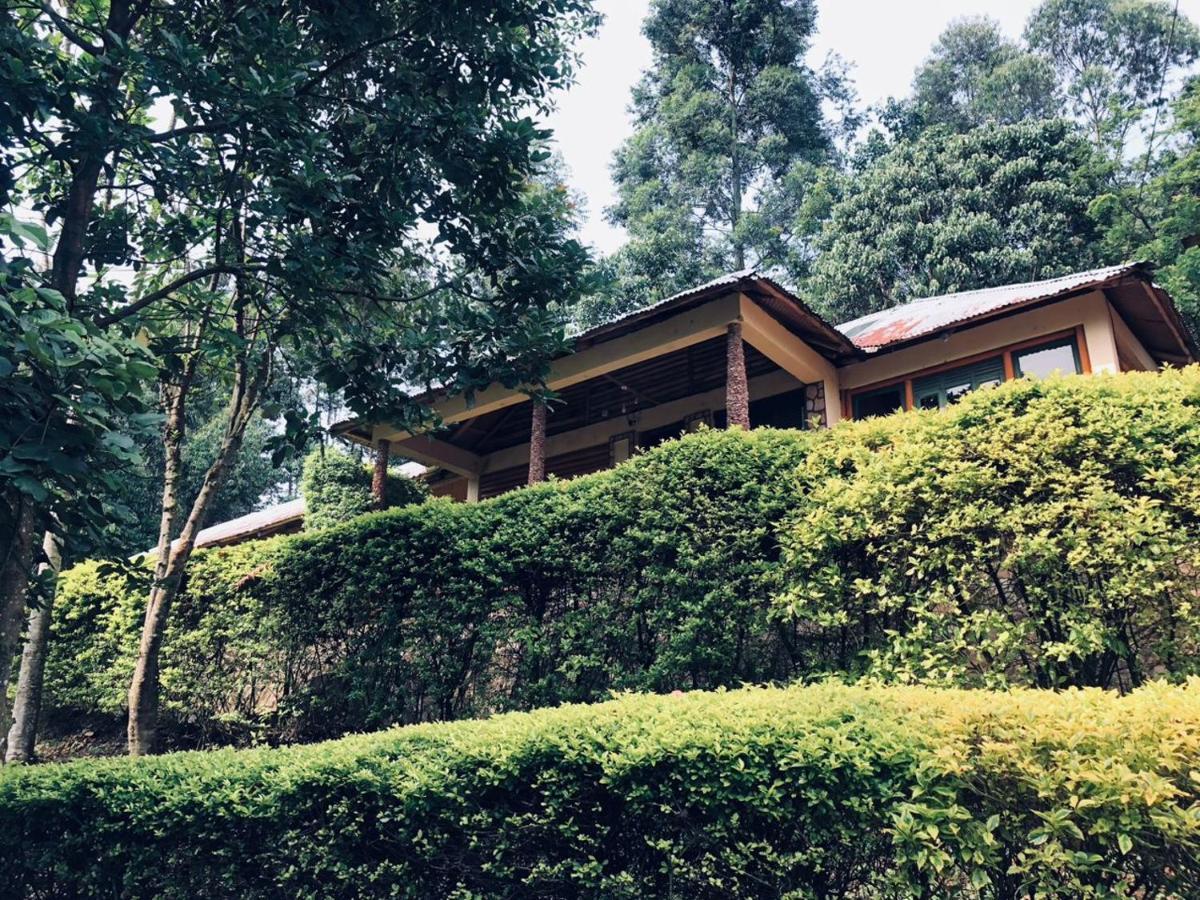 Bwindi Forest Lodge Buhoma 외부 사진