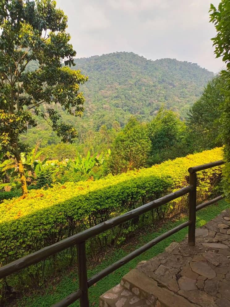 Bwindi Forest Lodge Buhoma 외부 사진