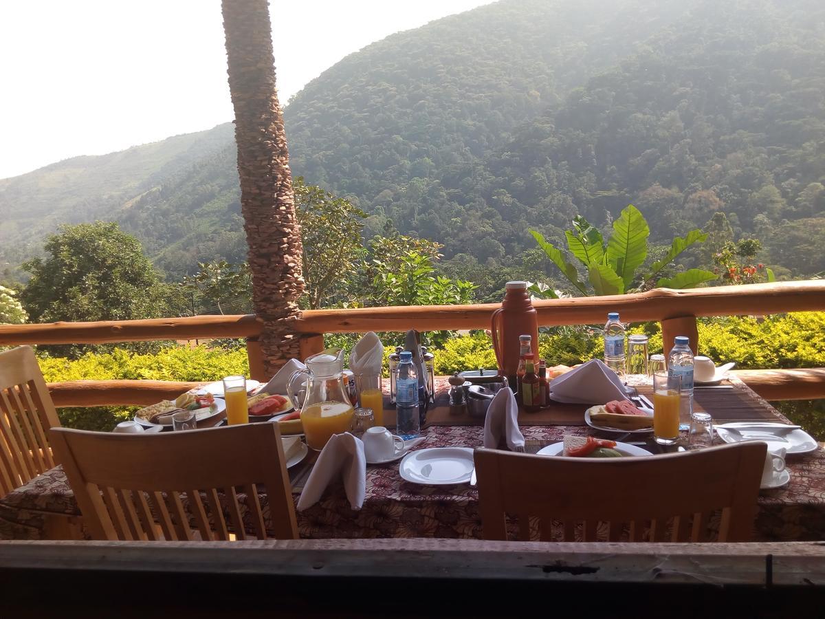Bwindi Forest Lodge Buhoma 외부 사진