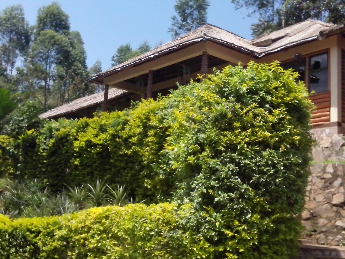 Bwindi Forest Lodge Buhoma 외부 사진