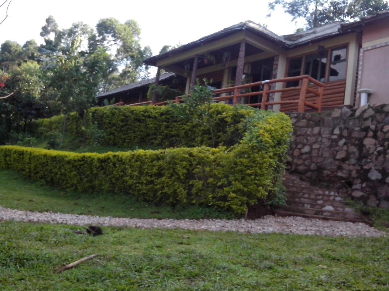 Bwindi Forest Lodge Buhoma 외부 사진